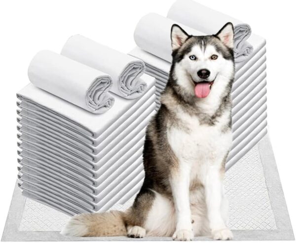 Puppy Training Pads,50 Pack Large Super Absorbent Fast Drying Toilet Dog Pee Pads Leak-Proof Fast Drying Mats Dog Training Pads for Dogs Cats Rabbits Pets Disposable Puppy Pee Pads Dogs (60X45)Cm