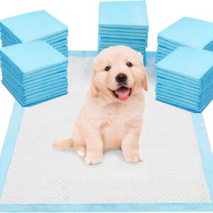 SA Products Puppy Pads 50 Pack, Puppy Training Pads, Puppy Pads | Super Absorbent Large Puppy Pads | Leak-Proof Heavy Duty Training Pads | Dog Pads, Puppy Training, Dog Training Pads, (56 x 56cm)