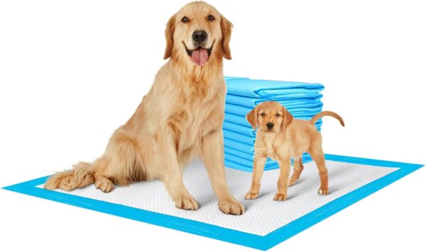 ShopHut Puppy Training Pads, Training Pads Mats for Younger Pets, Dog and Cat Pee Diaper with Heavy Duty Absorbency (50 Pack) (56x56cm (50 Pads))