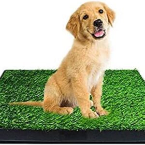 St@llion Indoor Potty Training Tray For Puppy Toilet Dog Grass Training Pad Restroom Training Mat Removable Waste Tray