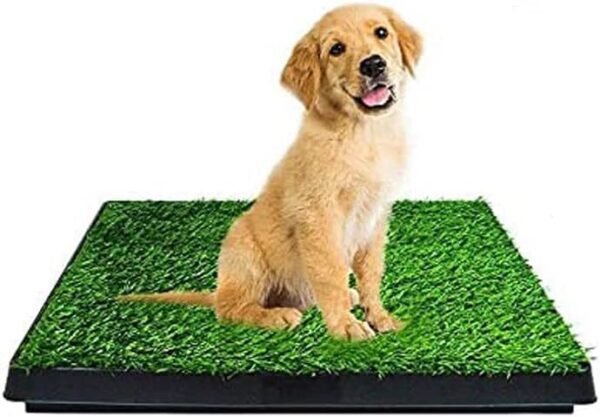 St@llion Indoor Potty Training Tray For Puppy Toilet Dog Grass Training Pad Restroom Training Mat Removable Waste Tray