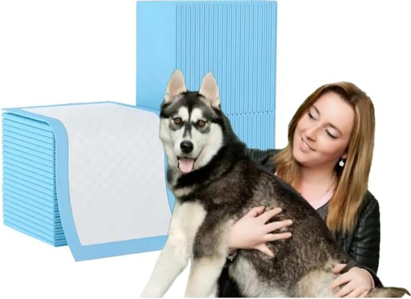 Super Absorbent Puppy Training Pads 30Pack,7 Layer Disposable Puppy Pads Fast Drying Pee Mats Dog Pads Puppy Pee Pads Dog Toilet Sheets Non Slip Matting for Pet Dog Cat Wee Pee Pads 60x45cm