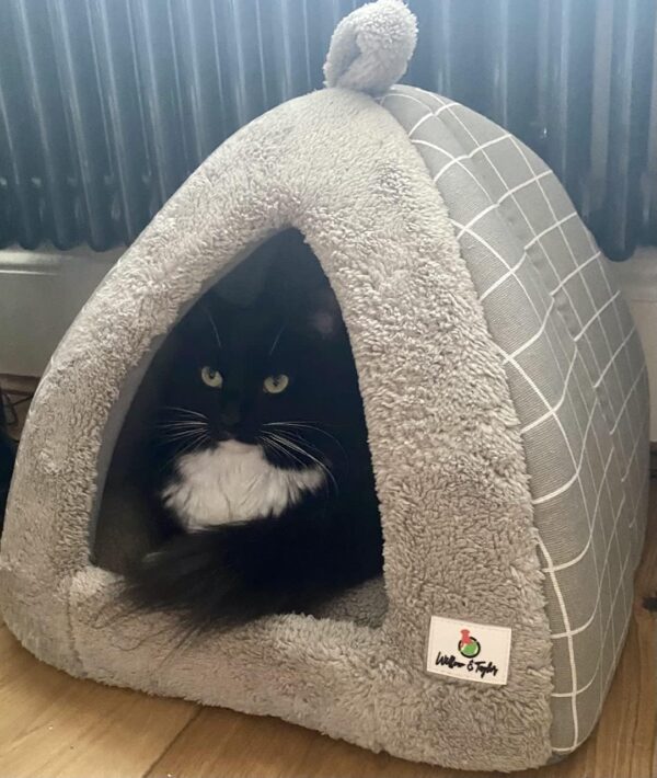 Willow and Taylor 2-in-1 Tent Igloo Cave Bed House for Cats/Small Dogs/Puppies/Kitten, 40x40x35cm, Light Grey, Indoor Pet Beds, Removable Washable Cushion Pillow