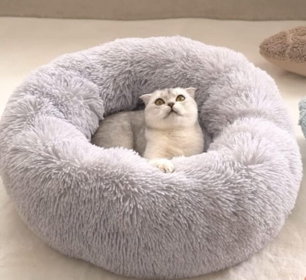 Zhoothyomiru Donut Dog Bed Calming Dog Bed Cat Bed Puppy Bed Sofa Pet Bed Kitten Bed Cat Donut Bed Plush Donut Dog Bed Pet Bed Round Warm Cuddler Kennel Soft Puppy (Light Gray/55Cm)