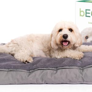 bECOsy® 100% Natural Latex | Waterproof & Machine Washable | Luxury Orthopaedic Cat Dog Bed | Grey Durable Soft & Cosy | Vegan (Medium - 36 inch 91x58x10cm)