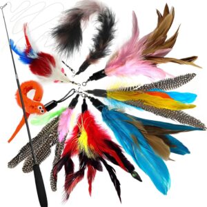 onebarleycorn Cat Feather Toys,Cat Toy Feathers for Indoor Cats Kitten Interactive Toys Retractable Cat Teaser Wand with 8 Refills