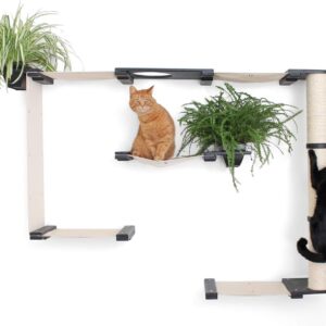 CatastrophiCreations Mini Garden - Multiple-Level Cat Hammock & Climbing Activity Center -Wall-Mounted Cat Tree Shelves, Natural/Natural