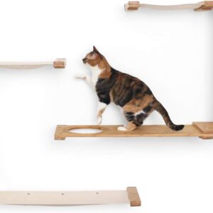 CatastrophiCreations Dakota - Multiple-Level Cat Hammock & Climbing Activity Center Wall-Mounted Cat Tree Shelves, English Chestnut/Charcoal Gray