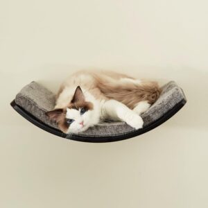 LIORCE Cat Shelf with Comfortable Cat Cushion - Curved Modern Cat Bed (Large Size) - Lotus Leaf Design Cat Wall Perch - Wall Mounted Cat Furniture for Sleeping, Playing, Climbing, and Lounging, Walnut