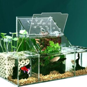 Chestnut-YX Betta Fish Tank Aquarium Acrylic Material Mini Desktop Small Fish Tank Goldfish Mini Aquarium Kit with Water Pump Multi Cell Self Circulation Ecological Tank Sick Fish Isolation Room