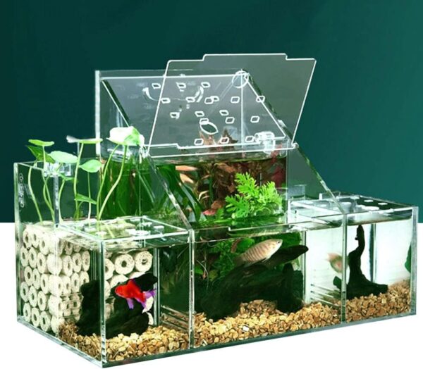 Chestnut-YX Betta Fish Tank Aquarium Acrylic Material Mini Desktop Small Fish Tank Goldfish Mini Aquarium Kit with Water Pump Multi Cell Self Circulation Ecological Tank Sick Fish Isolation Room