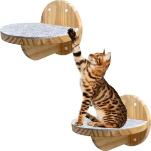 2 PCS Cat Climbing Shelf Wall Mounted,Cat Wall Shelves,Wooden Cat Wall Climbing Steps Cat Wall Ladder Stairs Wall Mounted Cat Climbing Step Cat Wall Shelf Cat Climber for Cats Perch Platform Supplies