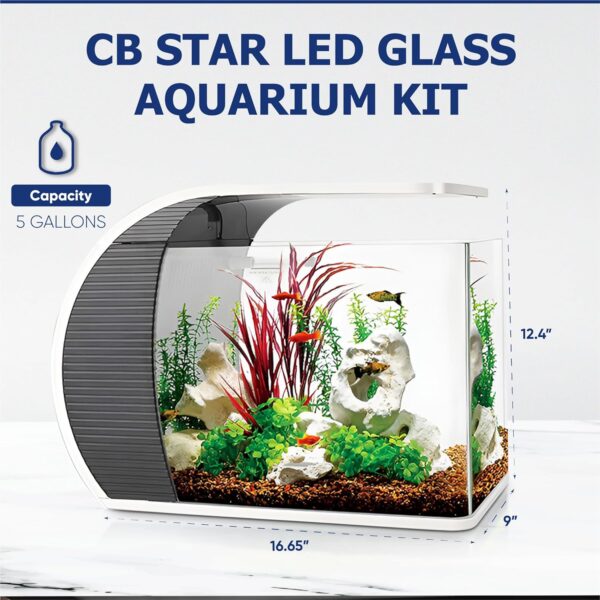 5 Gallon Fish Tanks - Arc-Shaped Glass Fish Tank w/LED Lights - Fish Tank Kit w/Adapter, Water Pump, Bag of Filter Media & More - Beautiful Aquarium Set for Office & Home - Easy Assembly Starter Kit