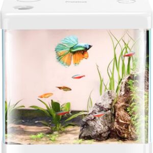 5 Gallon Glass Small Fish Tank,Betta Fish Tank with Filter and Light(Tank+Air Pump+Sponge Filter+Light),White Aquarium Starter Kit.