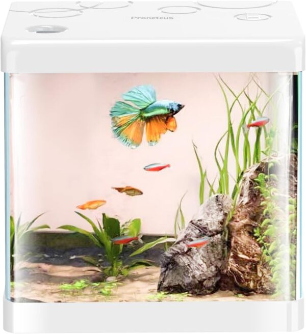 5 Gallon Glass Small Fish Tank,Betta Fish Tank with Filter and Light(Tank+Air Pump+Sponge Filter+Light),White Aquarium Starter Kit.