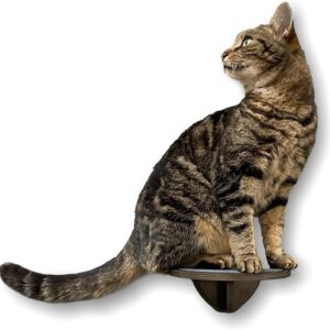 5 x Wall-Mounted Cat Step Set | Wooden Cat Shelves For Climbing | Durable, Easy To Mount & Non-Slip Felt Pad | Black & Blue