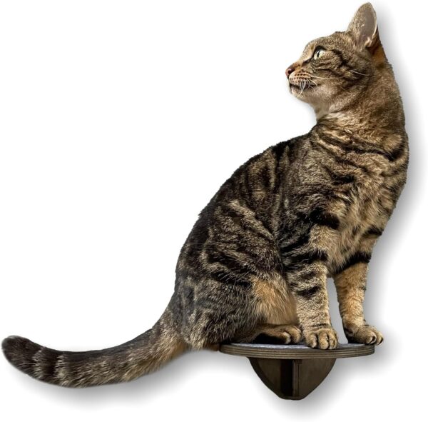 5 x Wall-Mounted Cat Step Set | Wooden Cat Shelves For Climbing | Durable, Easy To Mount & Non-Slip Felt Pad | Black & Blue