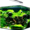 AMTRA NANOTANK SYSTEM 20 - Glass aquarium complete with LED light and filter / cm 25x25x30 / 18 Liters
