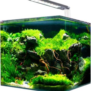 AMTRA NANOTANK SYSTEM 20 - Glass aquarium complete with LED light and filter / cm 25x25x30 / 18 Liters