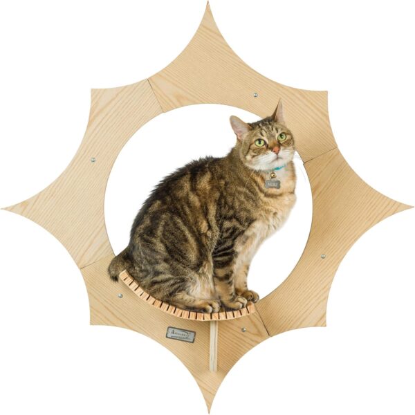 Armarkat Sun Shape Cat Wall Shelves, Modern Wall-Mounted Climbing Cats Furniture