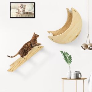 CYDDUP Cat Wall Moon Hammock with Cat Wall Steps, Cat Shelves and Perches for Wall, Cat Wall Furniture for Climbing, Sleeping, and Playing, Cat Climbing Wall Shelf for Indoor Cats or Kitty