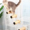 Cat Climbing Steps Scratching Tree - Cage Shelf Wooden Ladder Pets Perch Furniture Inside The cage with Install Screws 4 Steps 6.3x2 inches