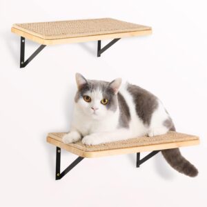 Cat Floating Shelves with Sisal Mat, Large Cats Kitty Shelf Wall Mounted Beds and Perches Furniture for Sleeping, Playing, Climbing, and Lounging Holds up to 30 LBS(2PCS, 15.7 x 10 Inch)