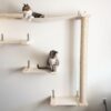 CatastrophiCreations Sky Track - Cat Hammock & Climbing Activity Center - Handcrafted Wall-mounted Cat Tree Shelves