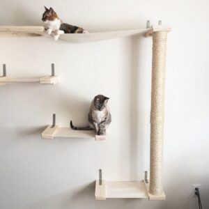 CatastrophiCreations Sky Track - Cat Hammock & Climbing Activity Center - Handcrafted Wall-mounted Cat Tree Shelves