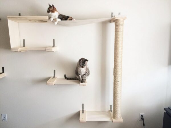 CatastrophiCreations Sky Track - Cat Hammock & Climbing Activity Center - Handcrafted Wall-mounted Cat Tree Shelves