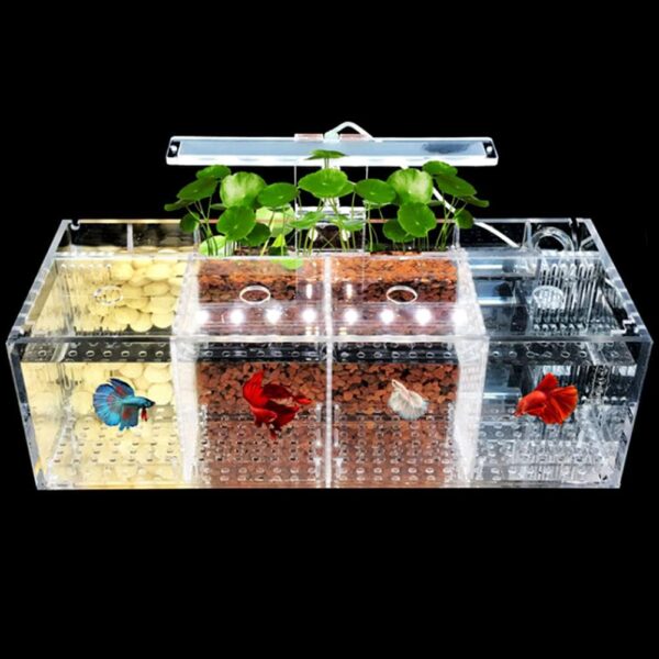 Chestnut-YX Betta Fish Tank Aquarium Acrylic Material Mini Desktop Small Fish Tank Bowls Kit with Water Pump and LED Lights Self Circulation Ecological Tank Sick Fish Isolation Room (4 Grids)