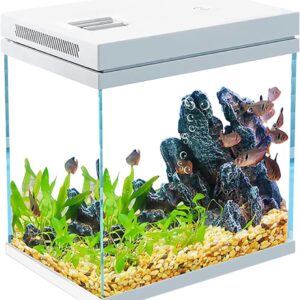 Craftsboys Fish Tank, Nano Glass, Freshwater & Marine, Accessories Included (White, 10L)