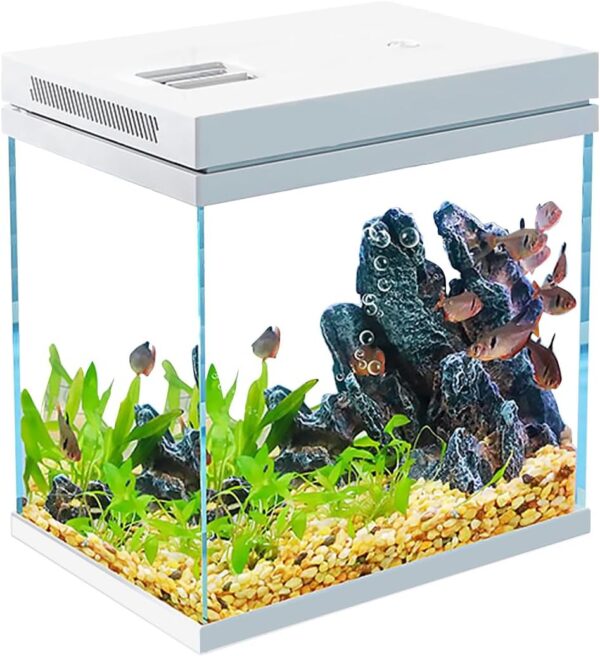 Craftsboys Fish Tank, Nano Glass, Freshwater & Marine, Accessories Included (White, 10L)