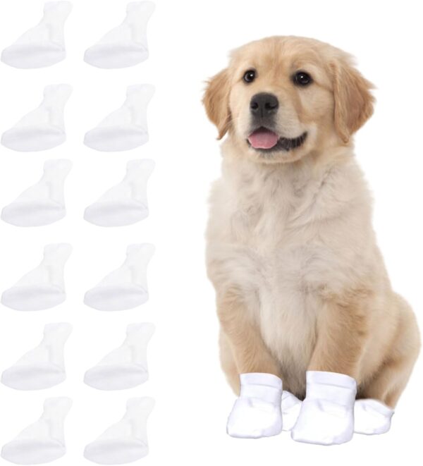 Disposable Dog Socks,12 Pieces Disposable Dog Socks Paws Stop Licking with self-adhesive strap,Dirty Protection Pet Socks Foot Cover for Indoor & Outdoor Walking(L)