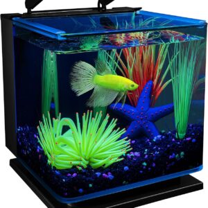 GloFish Betta Aquarium Kit Includes LED Lighting and Filter, 3 Gallon, 6.26 LB, AQ-78336