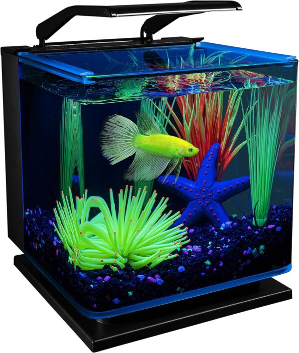 GloFish Betta Aquarium Kit Includes LED Lighting and Filter, 3 Gallon, 6.26 LB, AQ-78336