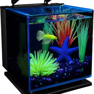 GloFish Betta Shadowbox Aquarium Kit 3 Gallons, Includes LED Lighting And Filter