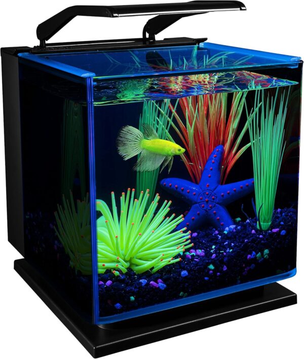 GloFish Betta Shadowbox Aquarium Kit 3 Gallons, Includes LED Lighting And Filter