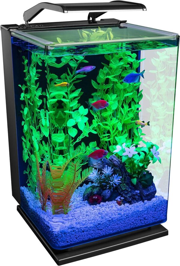 GloFish aquarium Kit 5 Gallons, Includes Hinged Cycle Light And Hidden Filtration