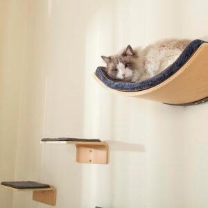 LIORCE Cat Wall Shelf with Two Steps - Curved Cat Shelves and Perches for Wall (Large Size) - Wall Mounted Cat Furniture for Sleeping, Playing, Climbing, and Lounging