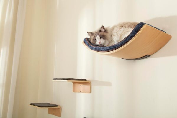 LIORCE Cat Wall Shelf with Two Steps - Curved Cat Shelves and Perches for Wall (Large Size) - Wall Mounted Cat Furniture for Sleeping, Playing, Climbing, and Lounging