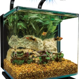 Marineland Contour 3 aquarium Kit 3 Gallons, Rounded Glass Corners, Includes LED Lighting