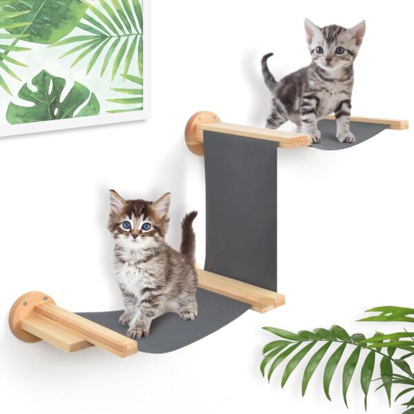 Mounting Wall Cat Shelves, Wall Mounted Lounge and Play Furniture, Climbing Activity Center Wall