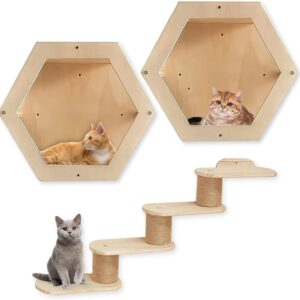 PINVNBY Cat Wall Shelves, Cat Shelves and Perches for Wall, Hexagon Nest Perches and 4 Cat Steps Set, Cat Wall Furniture for Playing Lounging Climbing