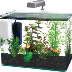 Penn-Plax Curved Corner Glass Aquarium Kit, 10-Gallon