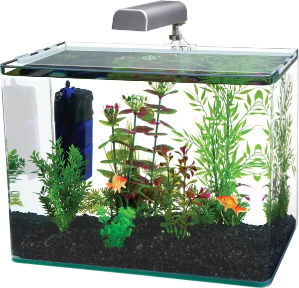 Penn-Plax Curved Corner Glass Aquarium Kit, 10-Gallon