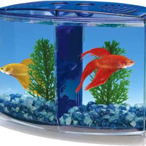 Penn-Plax Twin Betta Bow-Front Kit for Aquarium Blue, Green, Tank is 7.5" Across The Front, 6" Across The Back