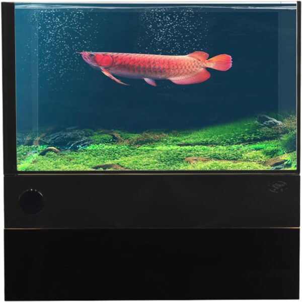 Premium Glass Fish Tank with Integrated Bottom Filter System - 30 Gallons Ultra-Clear Aquarium Kit, Silent Adjustable Flow, Easy Water Change for Freshwater and Marine Fish (30 Gallons)