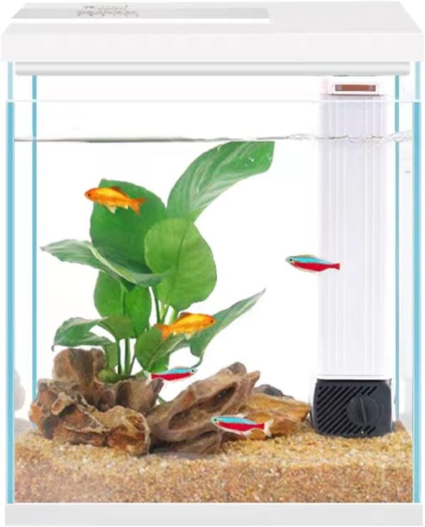 Pronetcus Betta Fish Tank, 2 Gallon Glass Aquarium Starter Kit, Small Fish Tank with Filter and Light.