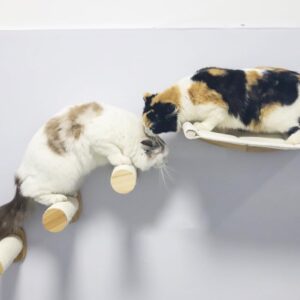 Qivutule Cat Wall Hammock - With 3 x Steps - Wall Mounted Cat Furniture - Kitty Bed and Shelf for Sleeping - Includes Cat Wand Toy